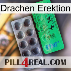 Dragon Erection new04